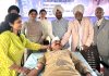 A volunteer donating blood during a camp in Jammu on Sunday.
