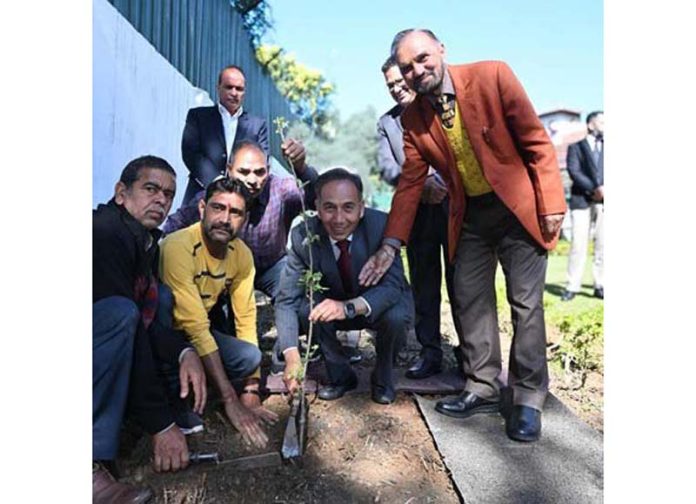 Chief Justice planting sapling at his official residence on Friday.