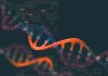 Preliminary genomic analysis of 10,000 Indians expected to kick-start precision medicine in India