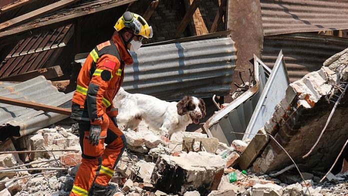 Myanmar earthquake death toll rises to 3,085 as more bodies found Myanmar earthquake death toll rises to 3,085 as more bodies found