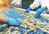 India preparing to ship 40,000 tonnes  of shrimp to US after tariff pause