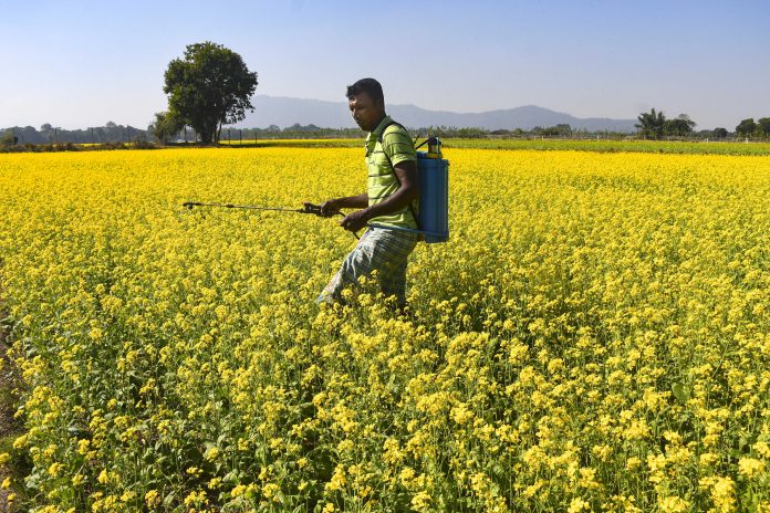 Duty amid despair: Unseen sacrifice of India's Agromet workers fighting climate chaos