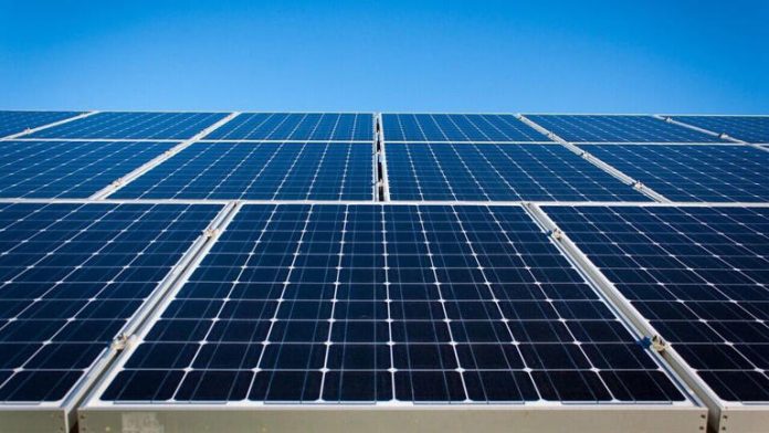 Waaree Technologies Q4 net loss trims to Rs 3 cr