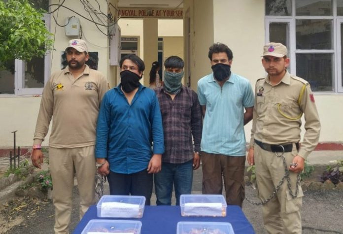 Three Arrested in Greater Kailash Jewellery Heist; Advocate Among Accused Three Arrested in Greater Kailash Jewellery Heist; Advocate Among Accused
