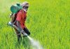 Need incentives for farmers to adopt non-chemical  fertiliser-based farming: Agri secretary