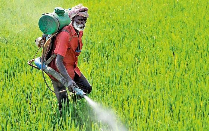 Need incentives for farmers to adopt non-chemical  fertiliser-based farming: Agri secretary