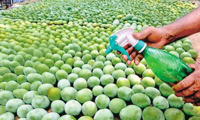 FSSAI Asks States To Curb Use Of Illegal Ripening Agents, Synthetic Coatings On Fruits FSSAI Asks States To Curb Use Of Illegal Ripening Agents, Synthetic Coatings On Fruits