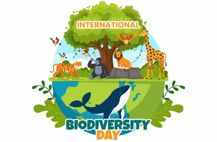 International biodiversity day