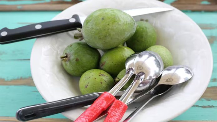 feijoa