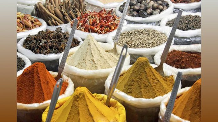 Zoff Foods aims to strengthen offline presence, begin exports this fiscal Zoff Foods aims to strengthen offline presence, begin exports this fiscal