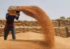 Govt to review restoration of PDS wheat supply after procurement ends