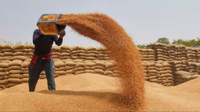 Govt to review restoration of PDS wheat supply after procurement ends