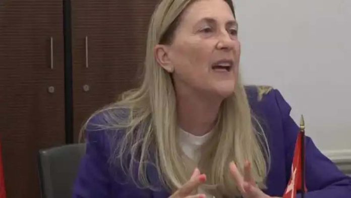 Good regulatory framework important in India  to attract investments: Swiss diplomat