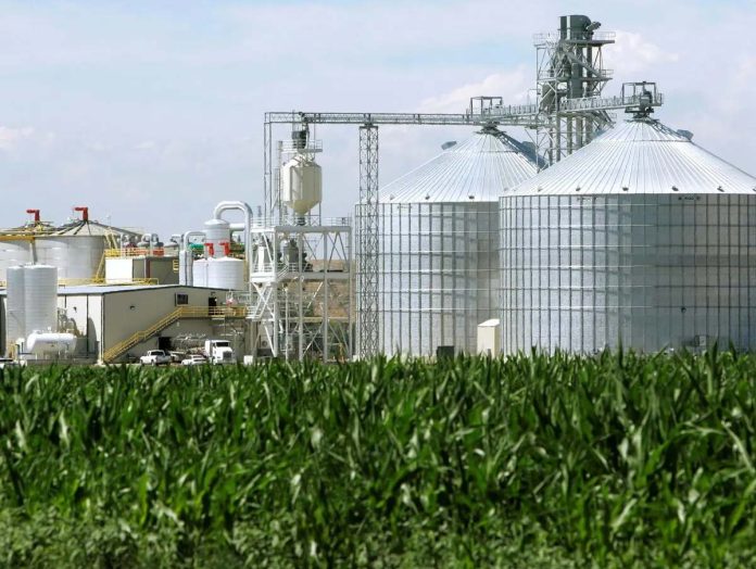 Grainspan invests Rs 520cr on grain-based ethanol plants, benefits from Centre's interest subsidy Grainspan invests Rs 520cr on grain-based ethanol plants, benefits from Centre's interest subsidy