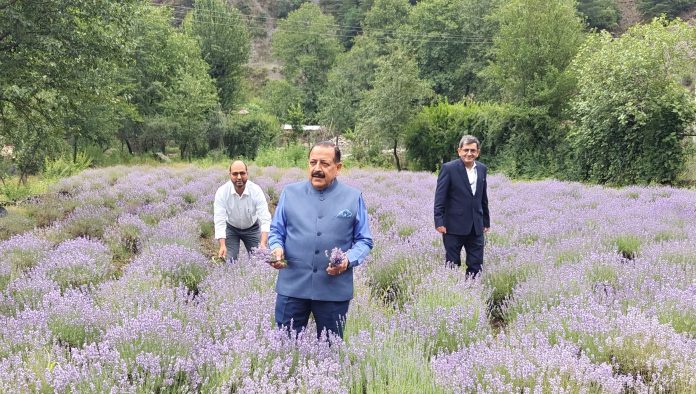 Lavender Gave Bhaderwah National Identity, National Role In India's Growth Story: Dr Jitendra