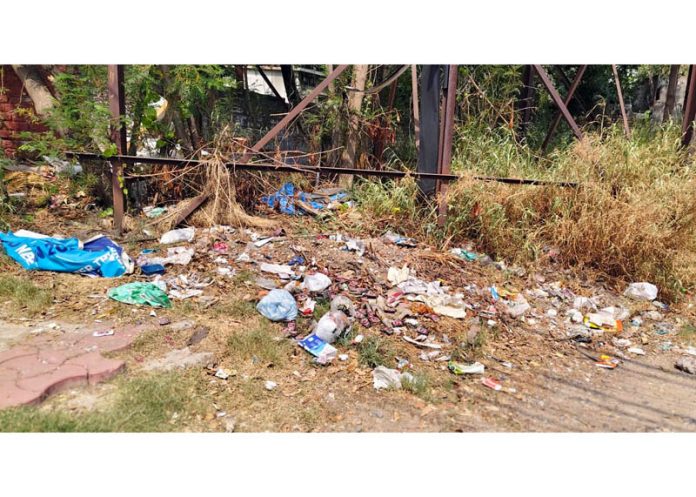 A view of waste dumped just opposite Jammu Airport.