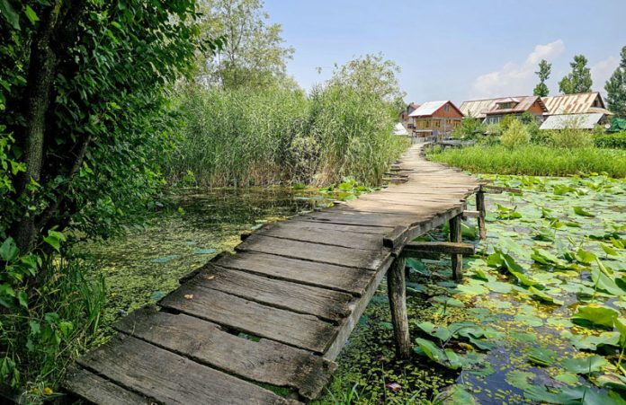 Dilapidated wooden bridge in Mir Behri. -Excelsior/Shakeel