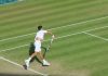 Djokovic Looking to Match Federer’s Wimbledon Record Tally This Year