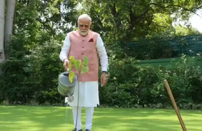 On World Environment Day, PM Modi plants sindoor sapling at residence