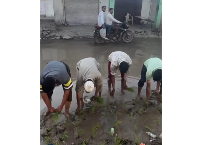People sowing paddy in the water pool created on road at Darhal in Rajouri. -Excelsior/Imran People sowing paddy in the water pool created on road at Darhal in Rajouri. -Excelsior/Imran