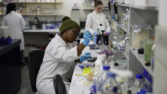US aid cuts halt HIV vaccine research  in South Africa, with global impact