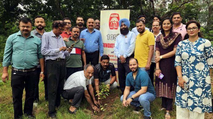 Members of SBISA planting trees during a plantation drive on Wednesday.