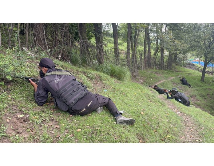Security personnel during searches at Akhal, Kulgam on Sunday. - Excelsior/Sajad Dar Security personnel during searches at Akhal, Kulgam on Sunday. - Excelsior/Sajad Dar