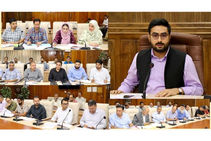 DC Srinagar reviews progress of development works under CAPEX, CDF & flagship schemes