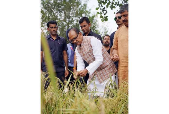 Union Minister for Agriculture and Farmers’ Welfare, Shivraj Singh Chouhan assessing the damage caused to the standing crops at Badyal Brahmana in R S Pura on Friday.
