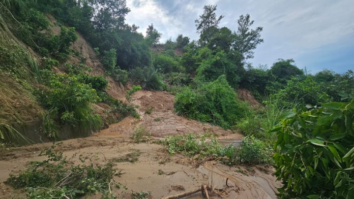 An internal road in Jambu Zoo completely blocked by debris. An internal road in Jambu Zoo completely blocked by debris.