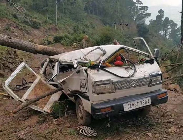 Wreckage of van after tree fell on it. -Excelsior/K Kumar Wreckage of van after tree fell on it. -Excelsior/K Kumar