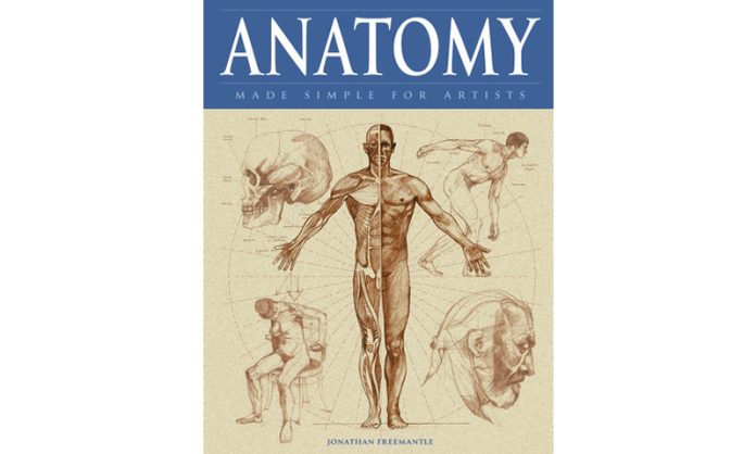 Anatomy