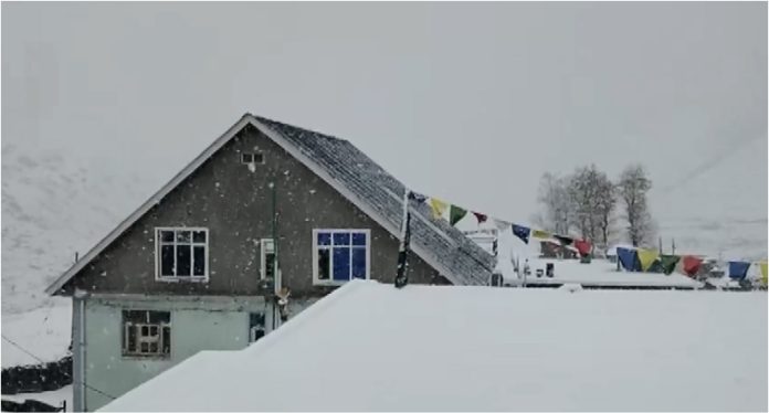 Fresh snowfall transforms Himachal's high altitudes into winter wonderland Fresh snowfall transforms Himachal's high altitudes into winter wonderland
