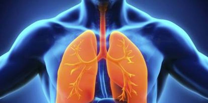PGIMER Study Flags Rise In Chest Infections Due To Lesser-Known Bacterium In North India PGIMER Study Flags Rise In Chest Infections Due To Lesser-Known Bacterium In North India