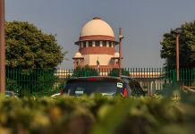 SC seeks response from Centre, others on plea to prevent cattle intrusion on highways