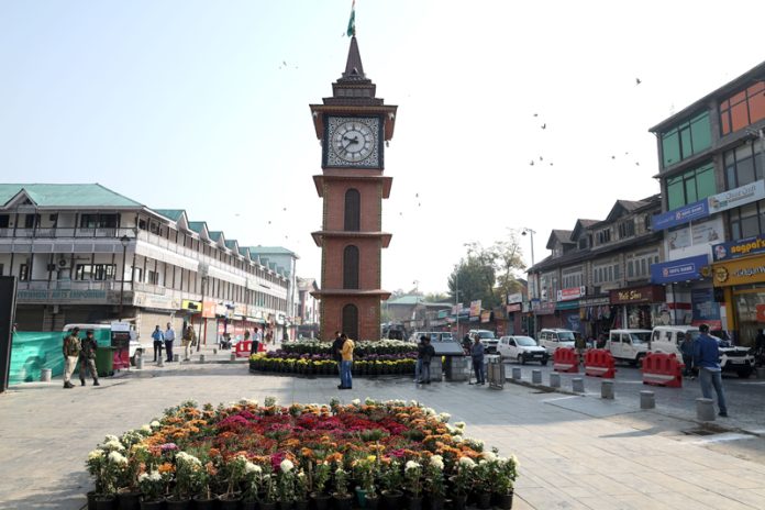 Chrysanthemum also known as Gul-e-Dawood, on display near the Ghanta Ghar in Srinagar on Sunday. - Excelsior/Shakeel.