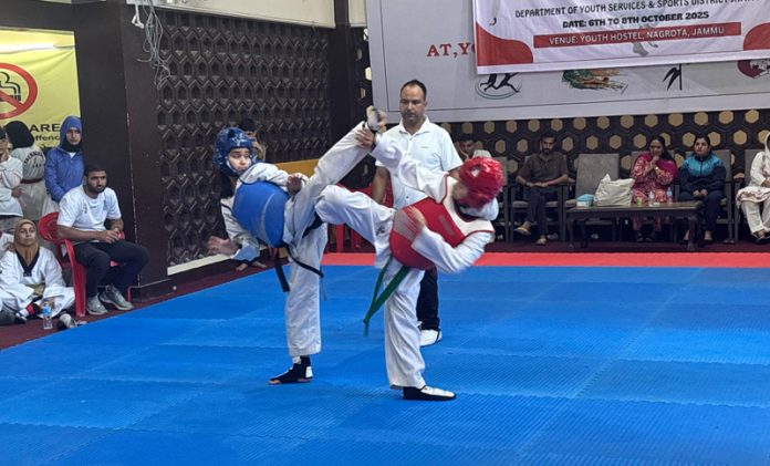 Taekwondo players in action during a match.