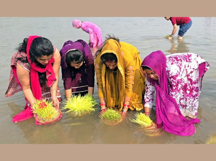 Devotees immersing Saakh in river Tawi at Jammu on Wednesday. -Excelsior/Rakesh