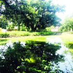 Ponds a Dying Civilisation of Kandi Belt of Jammu