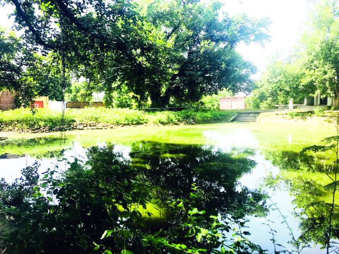 Ponds a Dying Civilisation of Kandi Belt of Jammu