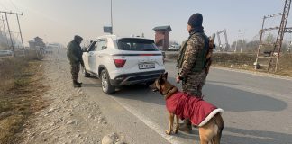 Intense Vehicle Checks Underway In Kashmir Valley After Red Fort Blast