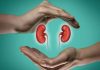 Lifestyle Disorders Pushing India Towards Kidney Disease Epidemic, Says Renowned Nephrologist