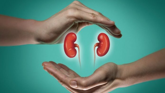 Lifestyle Disorders Pushing India Towards Kidney Disease Epidemic, Says Renowned Nephrologist Lifestyle Disorders Pushing India Towards Kidney Disease Epidemic, Says Renowned Nephrologist