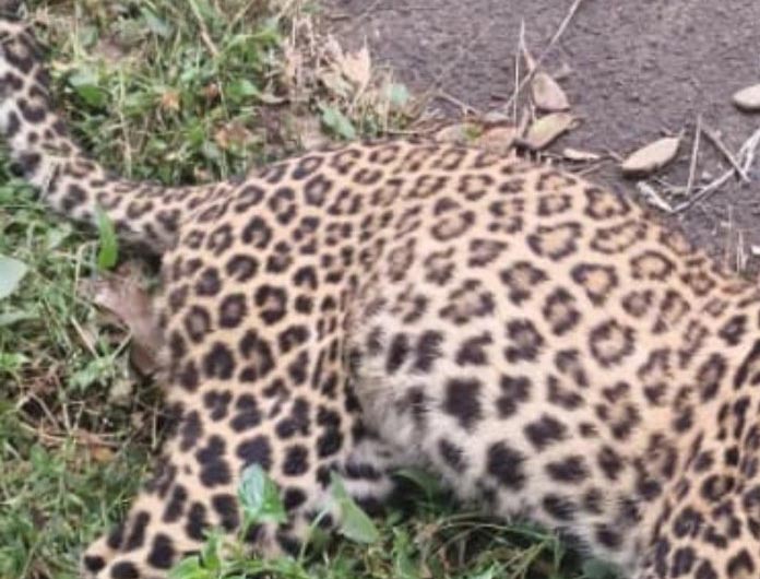 CM Promises Compensation For Buildings Damaged By Accidental Blast In Srinagar