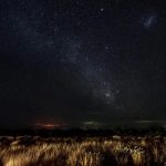 When Beauty Lost an Eye