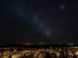 When Beauty Lost an Eye