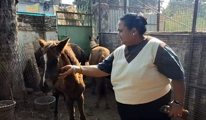 Namrata Hakhoo petting a horse in her shelter home at village Hakkal in Jammu.