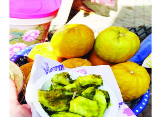 Kimb The Forgotten Citrus Treasure of Jammu