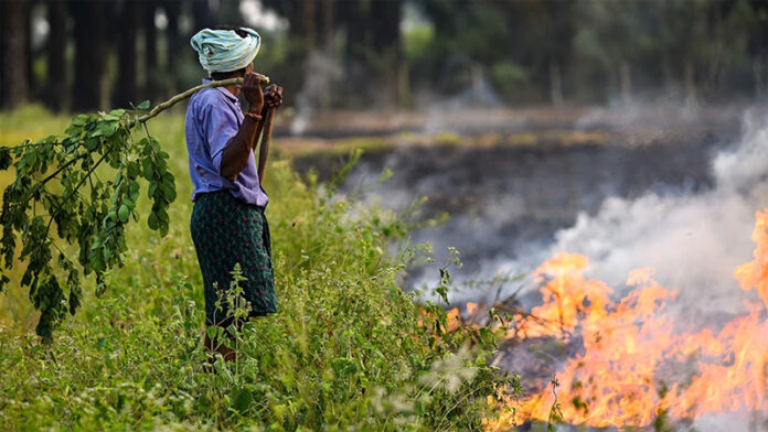 Agriculture Pollution