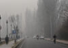 Cold Tightens Grip Across Kashmir As Night Temperatures Drop, Amid Rain, Snow Forecast